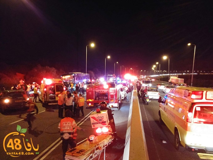 Accjs latroona (4).jpg